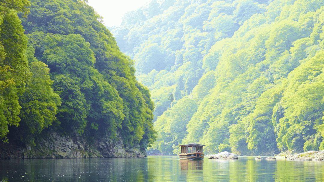 泡泡袖夏装